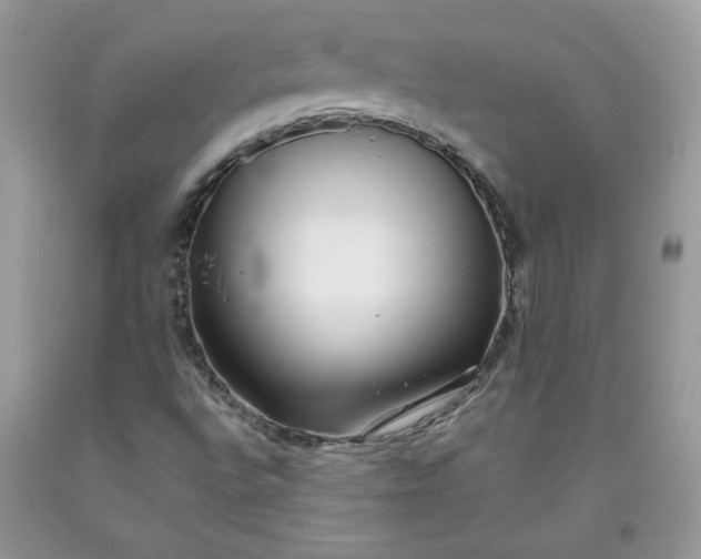 X0000093531496200710261239