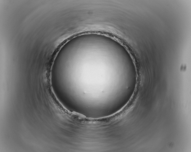 X0000093531497200710261239