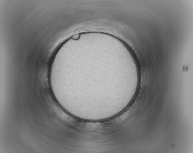 X0000093531498200710261239