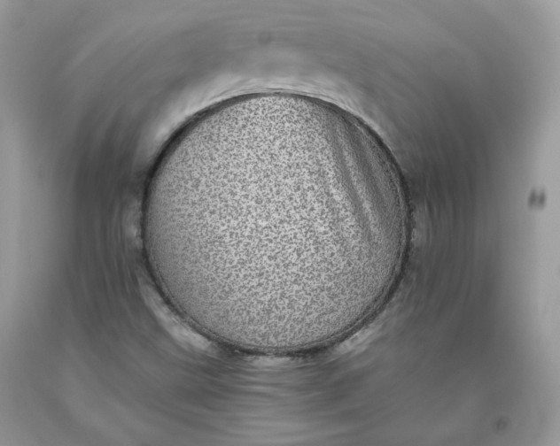 X0000093531499200710261239