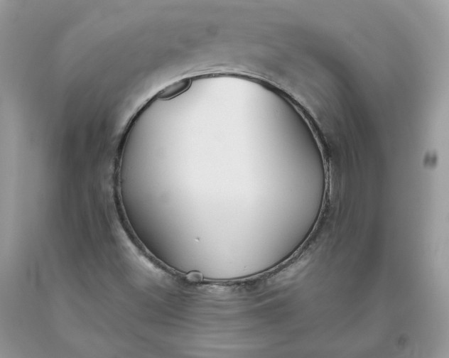 X0000093531500200710261239