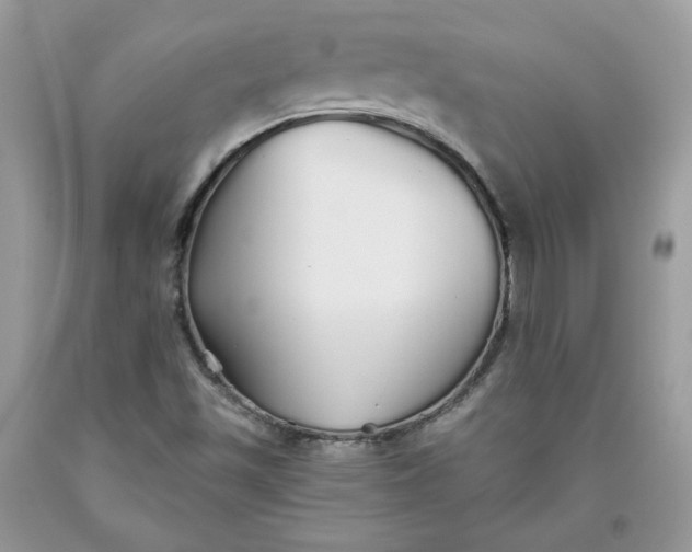 X0000093531501200710261239