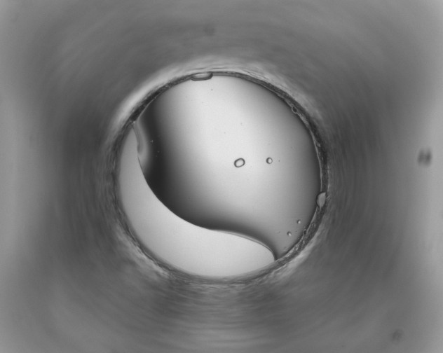 X0000093531502200710261239