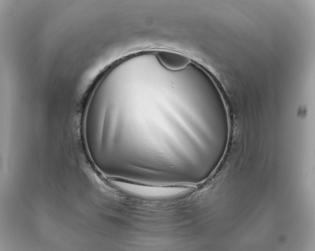 X0000093531503200710261240