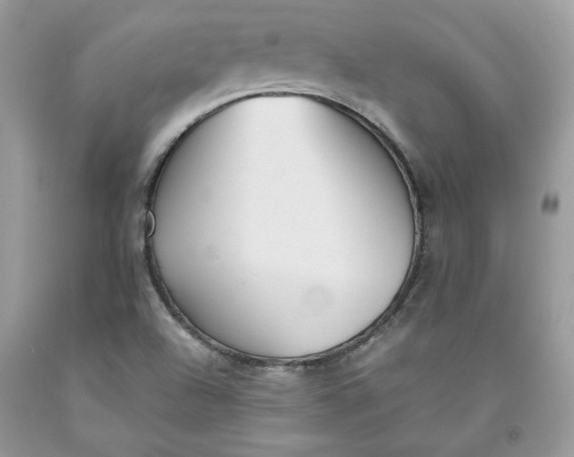 X0000093531504200710261240