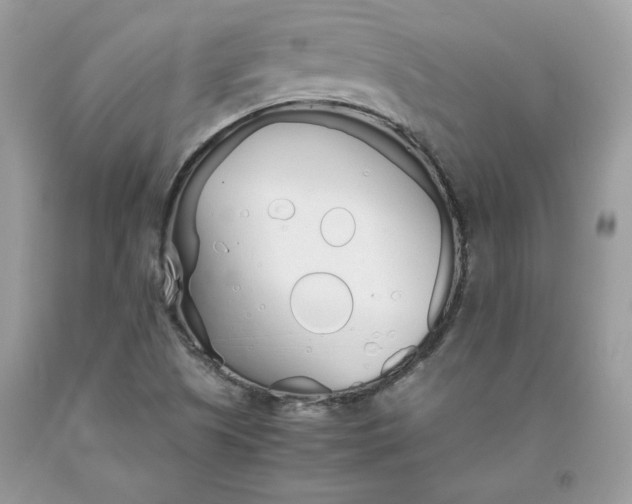 X0000093531505200710261240