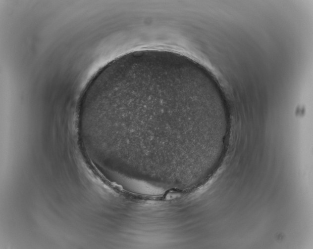 X0000093531506200710261240