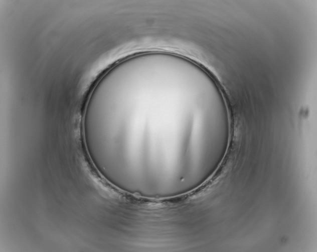 X0000093531507200710261240