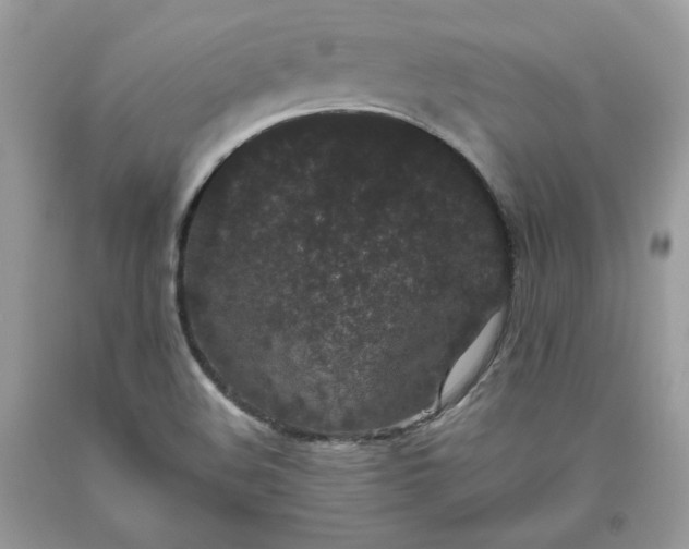 X0000093531508200710261240