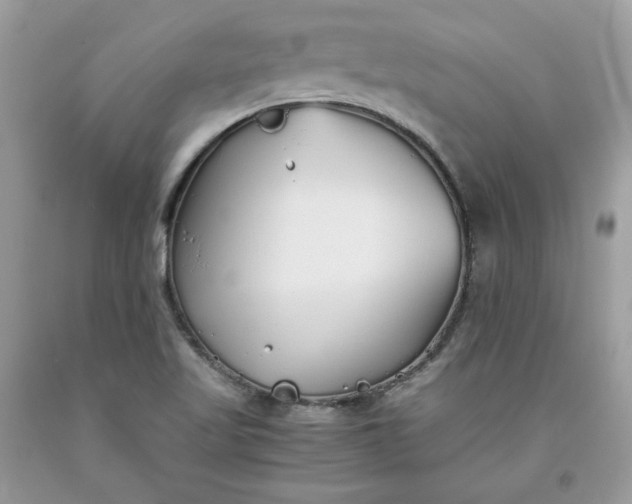 X0000093531509200710261240