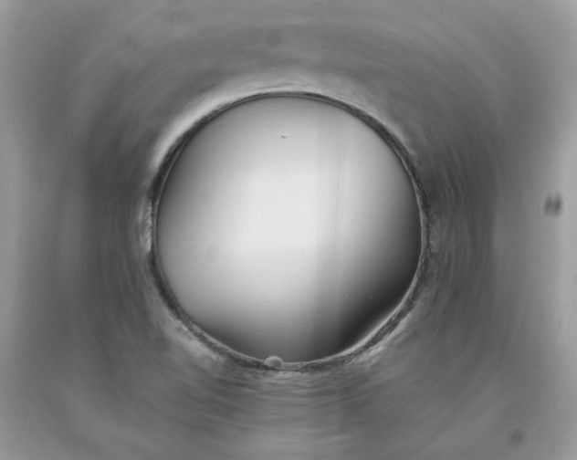 X0000093531510200710261240