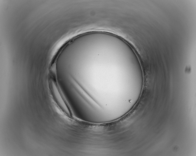 X0000093531511200710261240