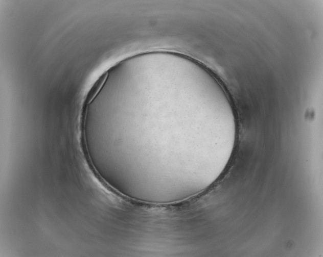 X0000093531512200710261240