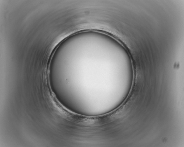 X0000093531513200710261240