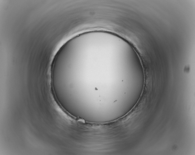 X0000093531516200710261240