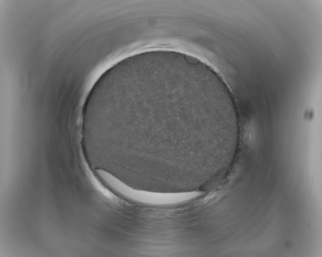 X0000093531519200710261240