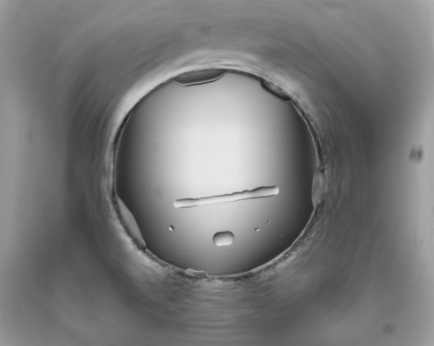 X0000093531520200710261240