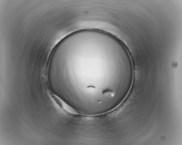 X0000093531521200710261240