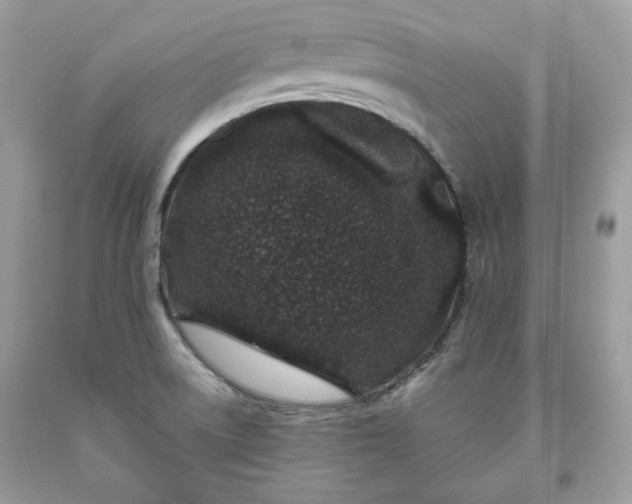 X0000093531522200710261240