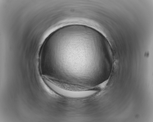 X0000093531523200710261240