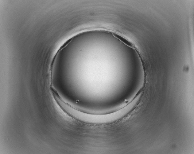 X0000093531524200710261240