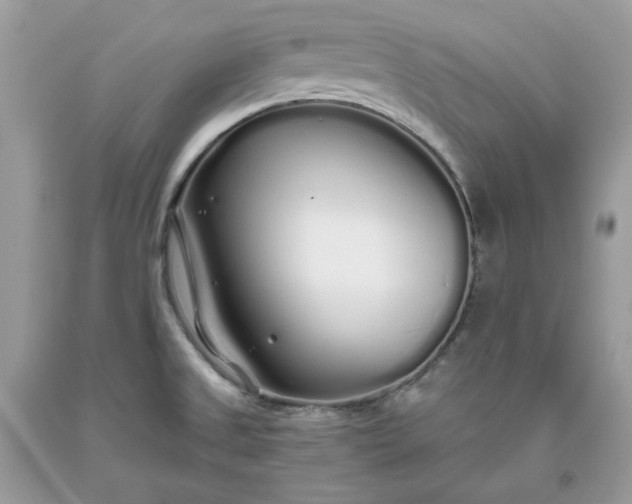 X0000093531525200710261240