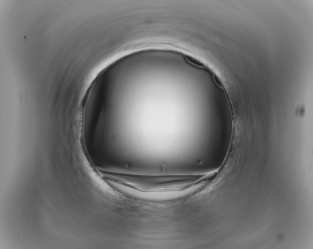 X0000093531526200710261240