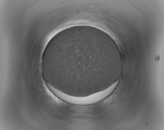 X0000093531527200710261240