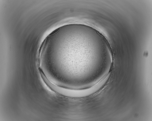 X0000093531528200710261240