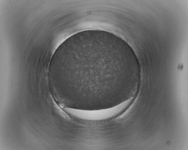 X0000093531529200710261240