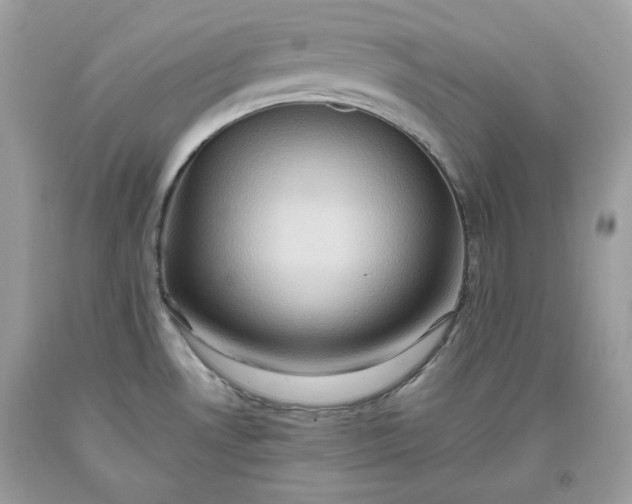 X0000093531530200710261240