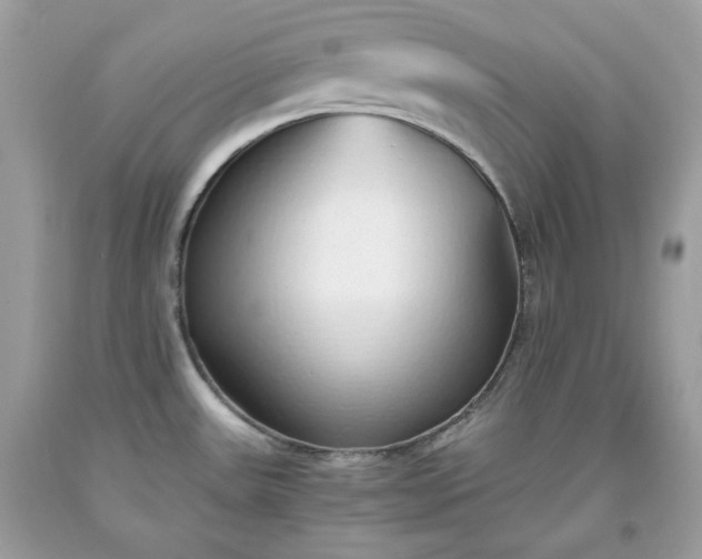 X0000093531531200710261240