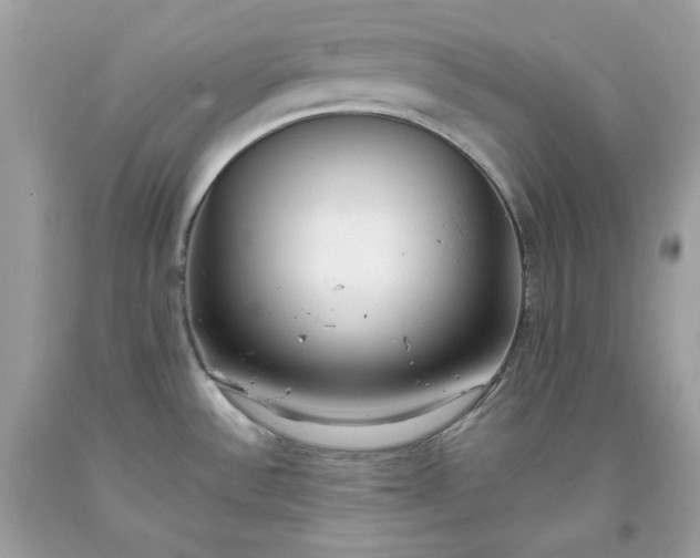 X0000093531532200710261240