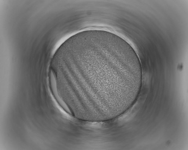 X0000093531533200710261240