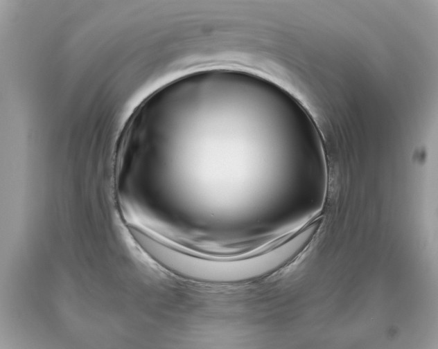 X0000093531534200710261240