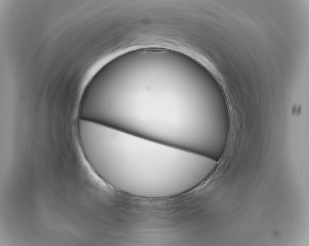 X0000093531536200710261240