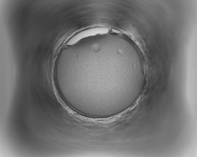 X0000093530001200711021319