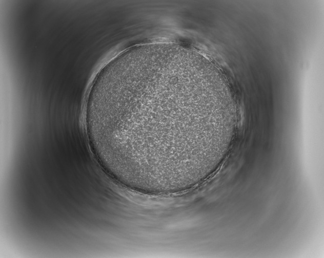 X0000093530004200711021319