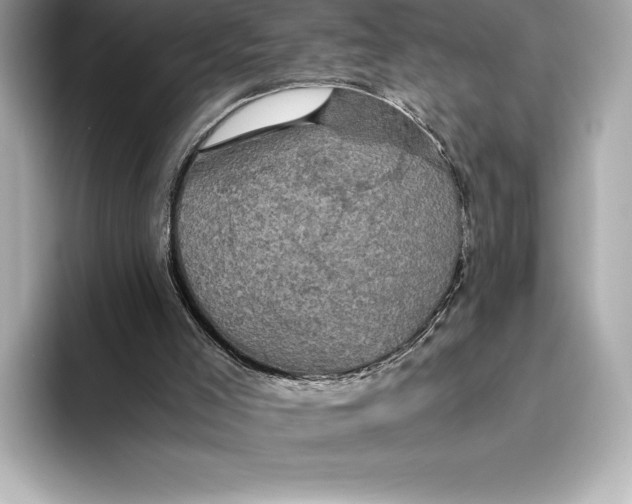 X0000093530005200711021319