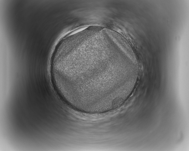 X0000093530006200711021319