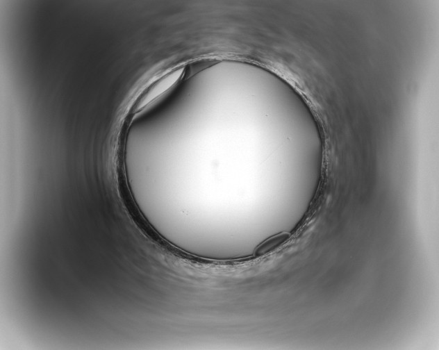 X0000093530007200711021319