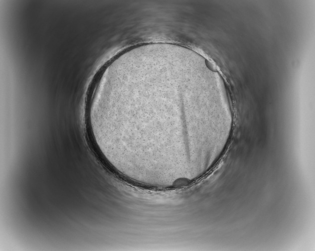 X0000093530008200711021319