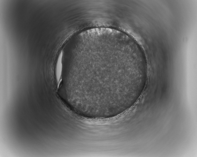 X0000093530009200711021319