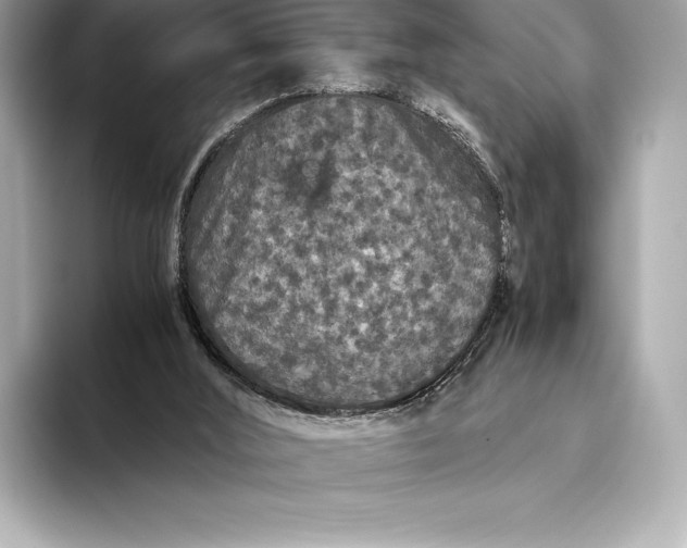 X0000093530012200711021319