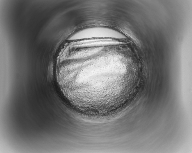 X0000093530014200711021319