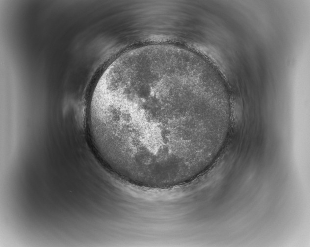 X0000093530016200711021319