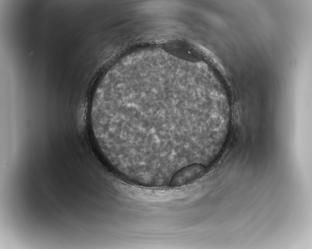 X0000093530018200711021319