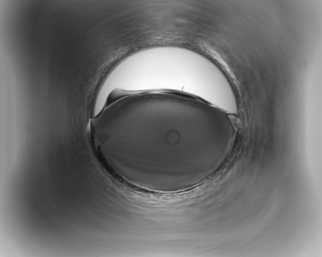 X0000093530019200711021319