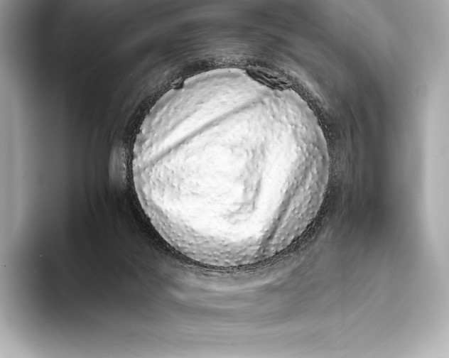 X0000093530022200711021318