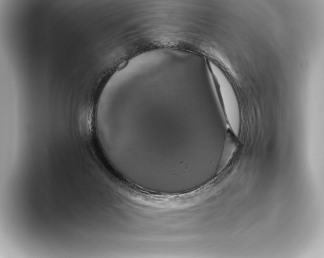 X0000093530023200711021318